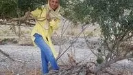 شیطنت مادر حبیب لیسانسه ها در طبیعت+عکس