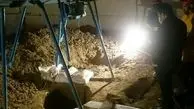 مرگ دلخراش پدر و 2 فرزندش بر اثر ریزش چاه + تصاویر 