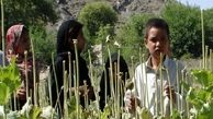 افغانستان امپراتوری تریاک است