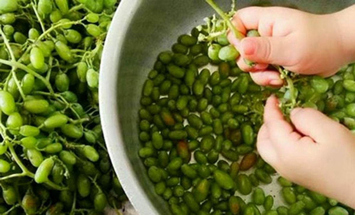 روش هایی برای نگهداری از آبغوره خانگی