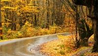 توصیه‌های سلامتی در آستانه تغییر فصل