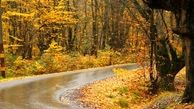 عکسهای زیبا از پاییز در جنگل گلستان