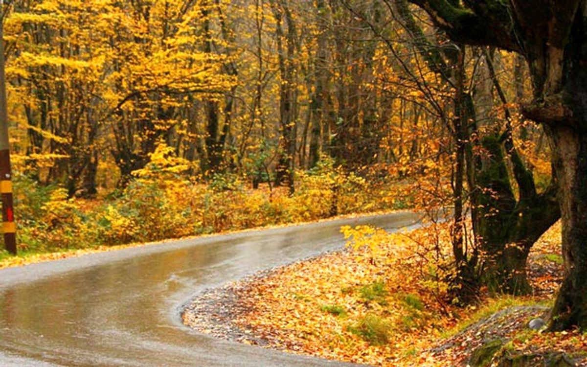 عکسهای زیبا از پاییز در جنگل گلستان