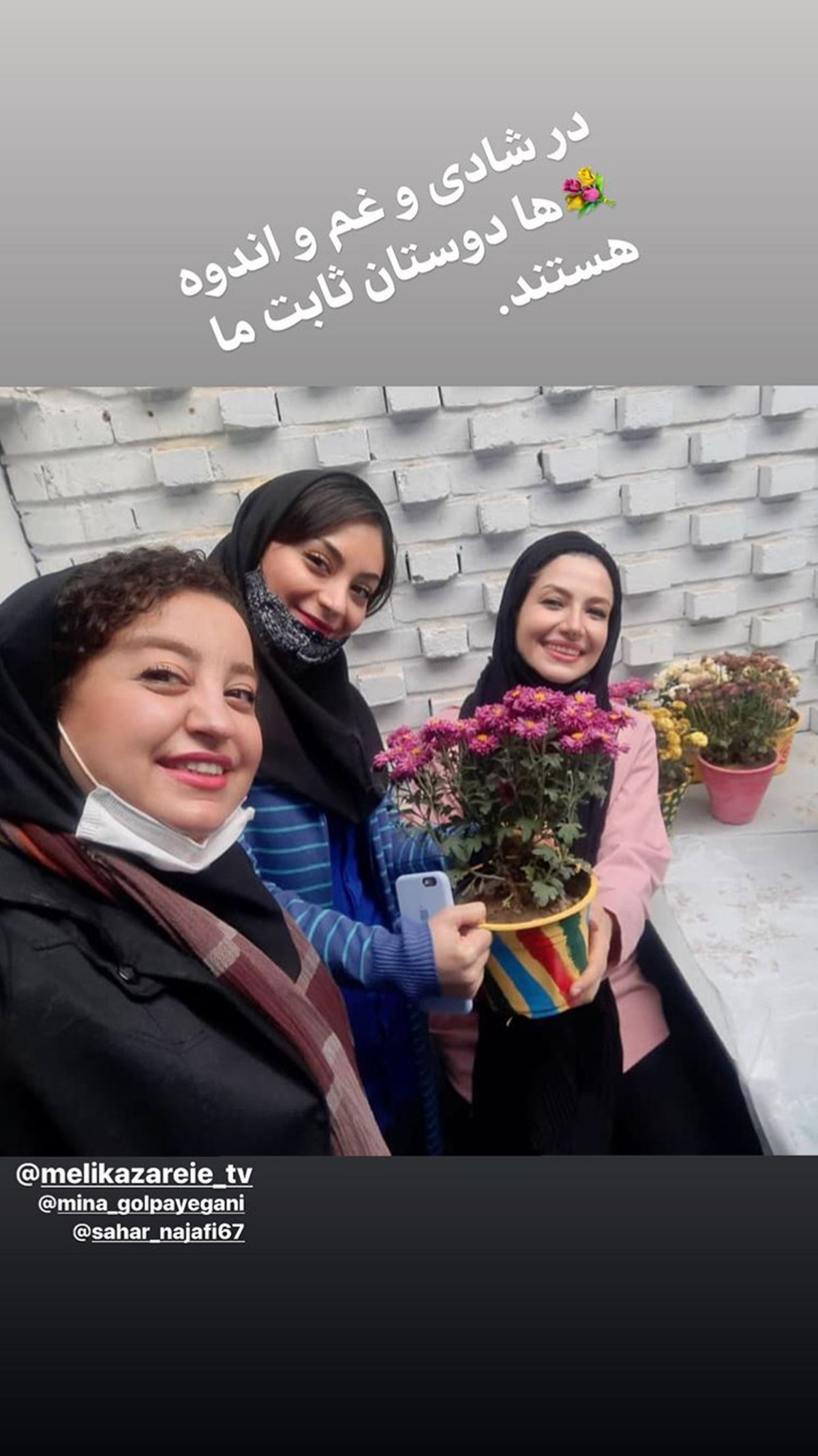 دوست صمیمی های خاله شادونه + عکس