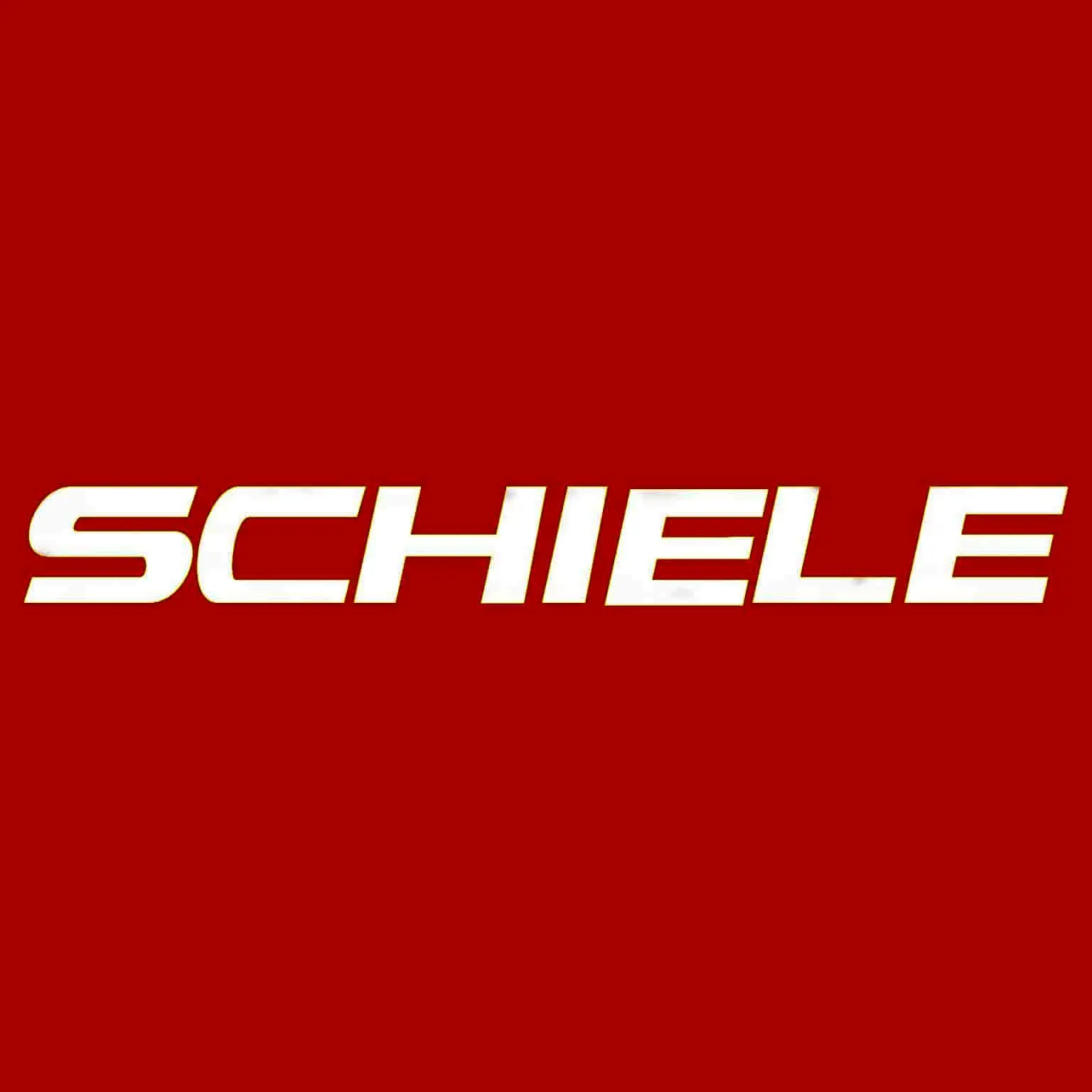 نمایندگی شیله