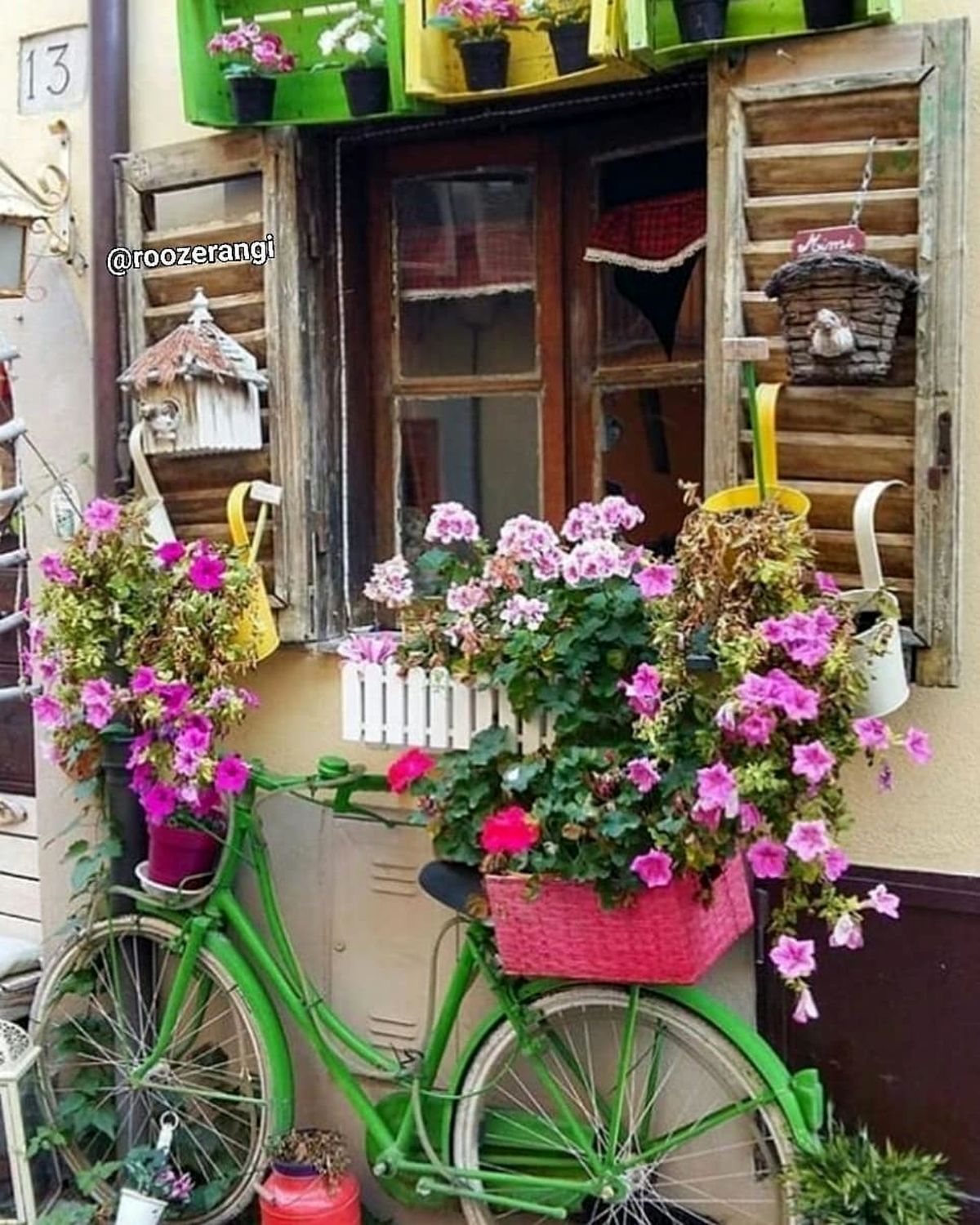 پست سبز و سرشار از حس زندگی مرجانه گلچین