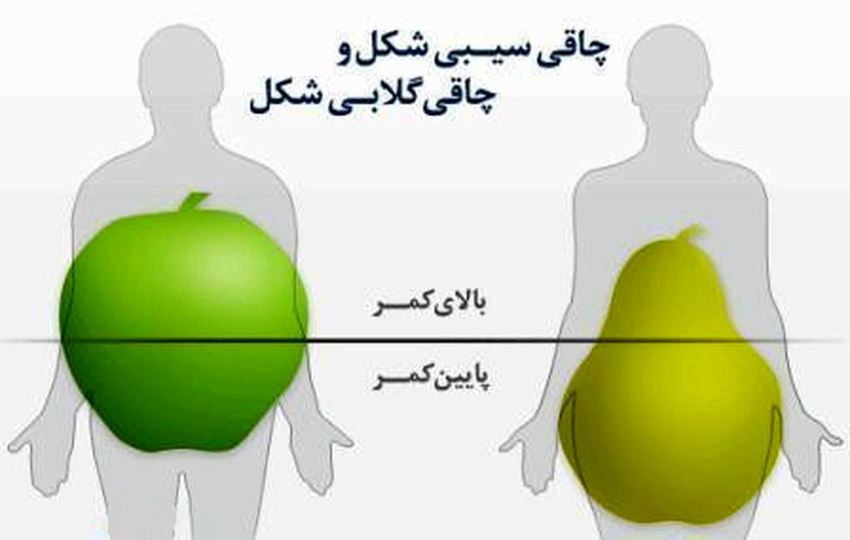 شما سیب هستید یا گلابی؟