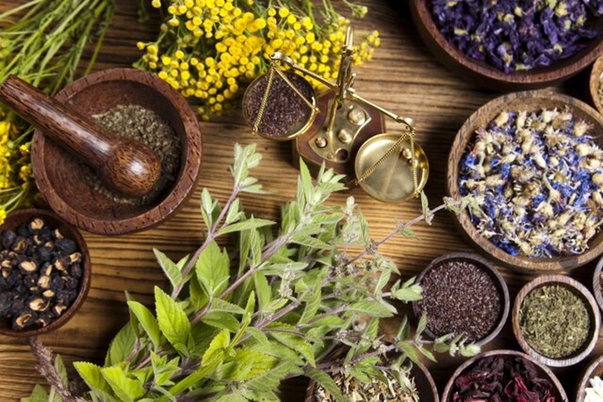 گیاهانی آرام بخش برای مقابله با استرس و اضطراب