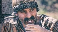 پیمان‌معادی در درخت گردو + عکس