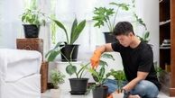 تکنیک های ساده برای پاکسازی هوای خانه