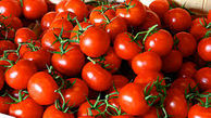 پای گوجه به قاچاق باز شد