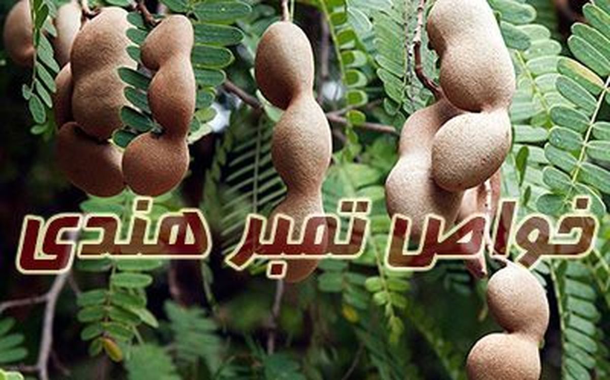 خواص تمر هندی برای سلامتی و زیبایی پوست + نحوه مصرف