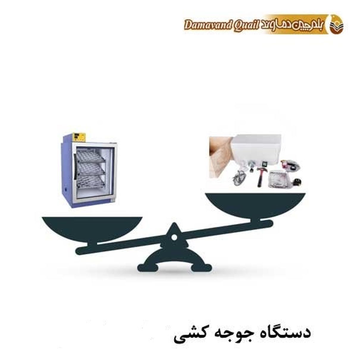خرید یا ساخت دستگاه جوجه کشی؟