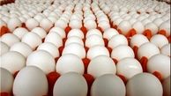 قیمت تخم مرغ روند نزولی گرفت / ۴۴ هزار تومان؛ هر شانه