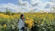خانم‌ بازیگر در مزرعه گل + عکس