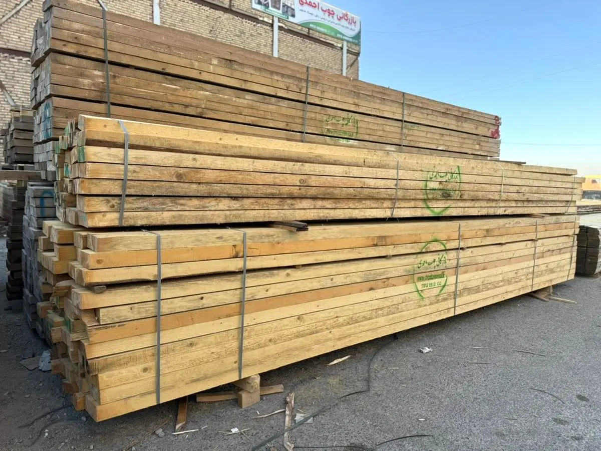 افزایش جهشی تقاضا برای چوب روسی؛ تحلیل کارشناسان بازرگانی احمدی از تحولات بازار چوب ایران