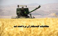 ۹۰ درصد مطالبات گندمکاران پرداخت شد