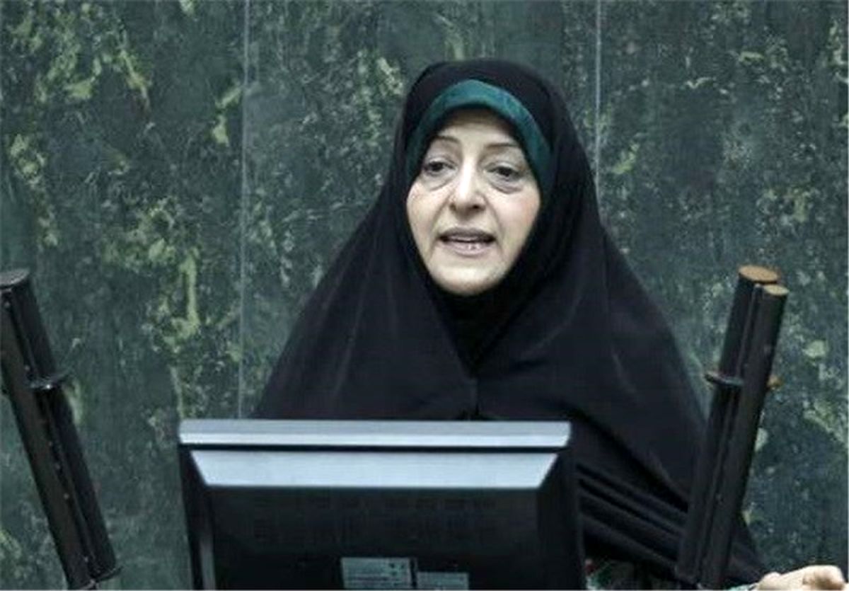 تنظیم لایحه «هوای پاک» بر اساس سیاست‌های کلی نظام 