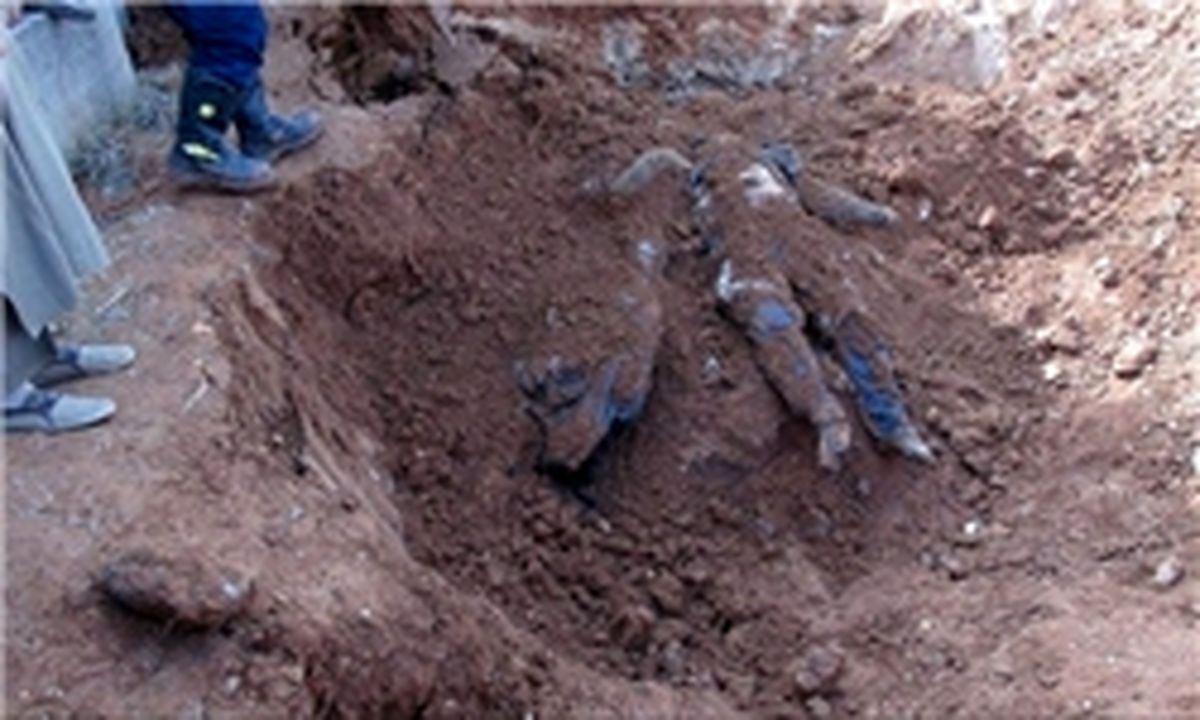 کشف گوردسته دسته جمعی زنان در سنجار
