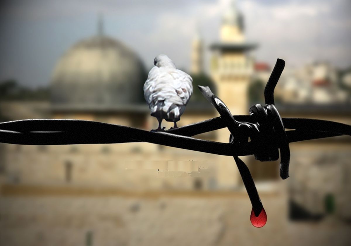 در میان این همه هیاهو؛ چرا فلسطین نباید فراموش شود؟