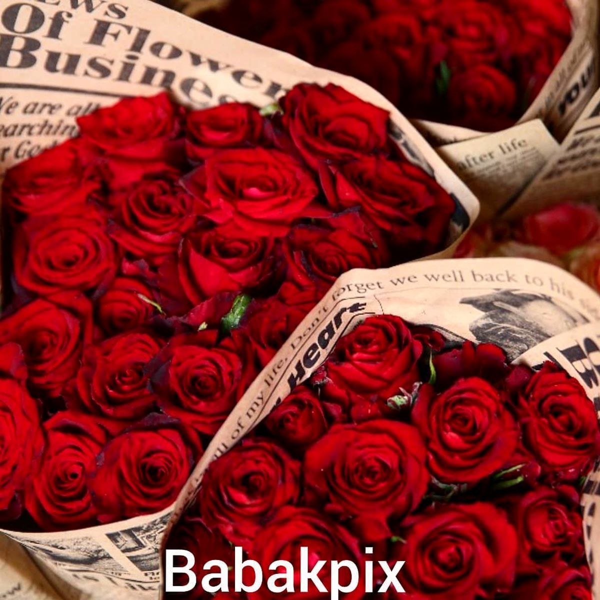 صبح پر انرژی به سبک بابک برزویه