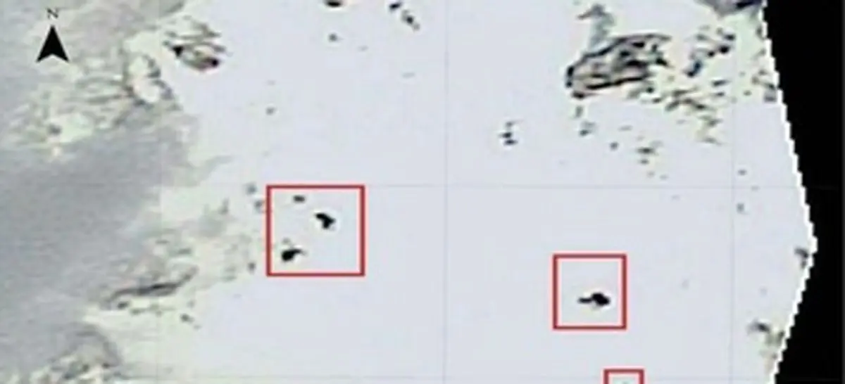 پاسخ به احتمال زنده بودن مسافران هواپیما