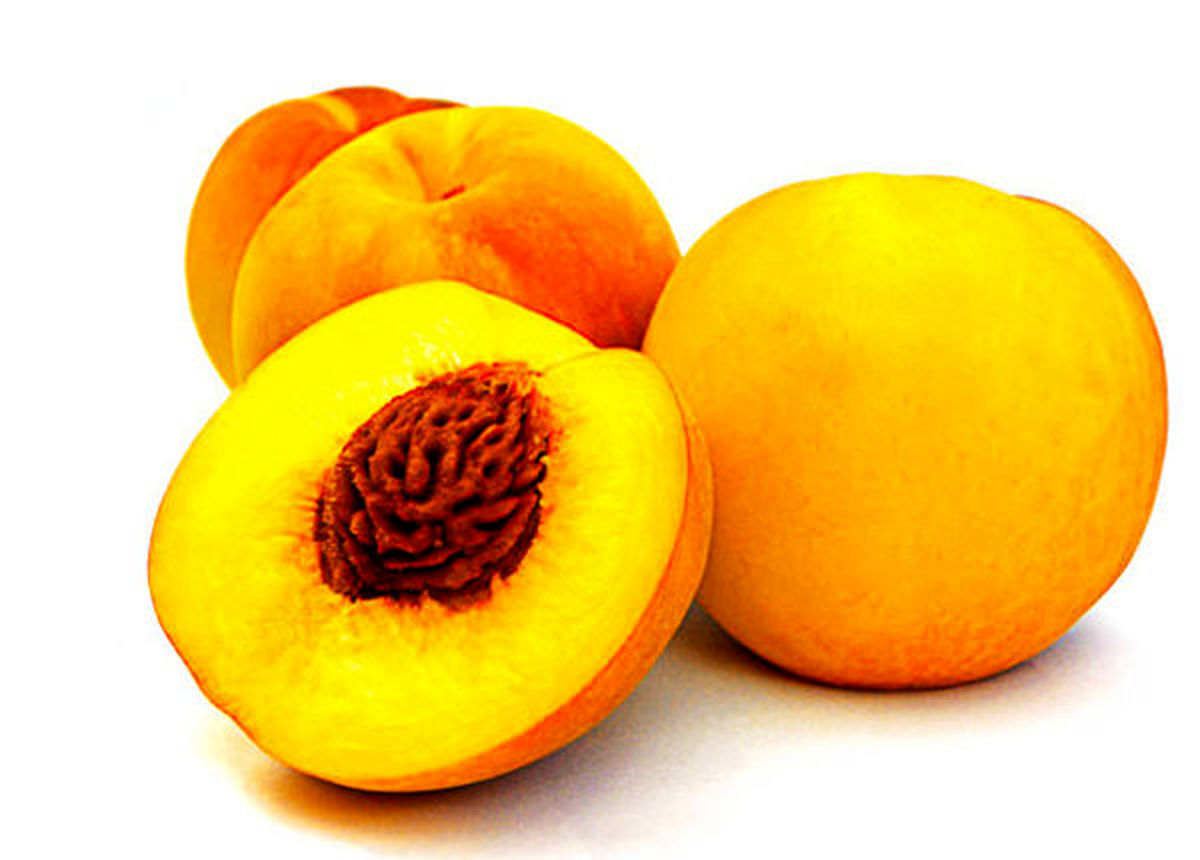 واردات جدید میوه از ترکیه