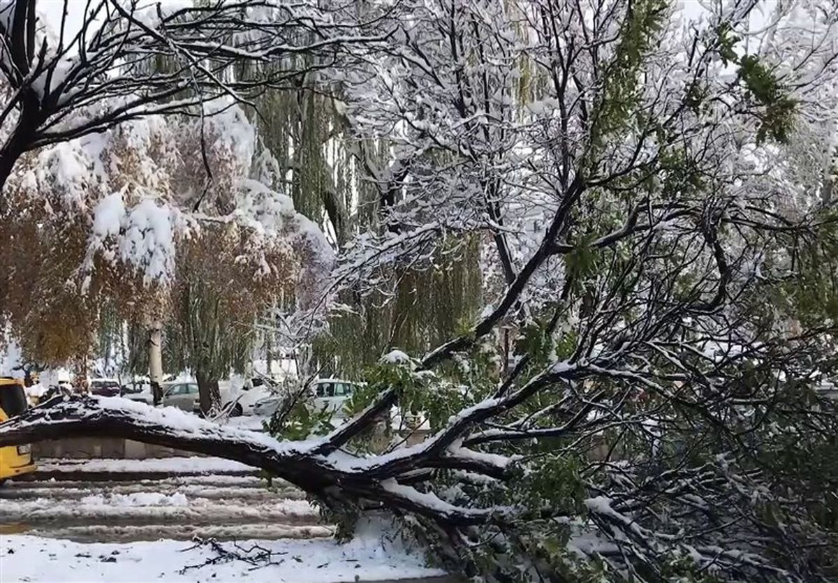  بارش برف در ۲۲ استان ترکیه