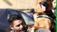 سگ اصیل پیمان معادی + عکس