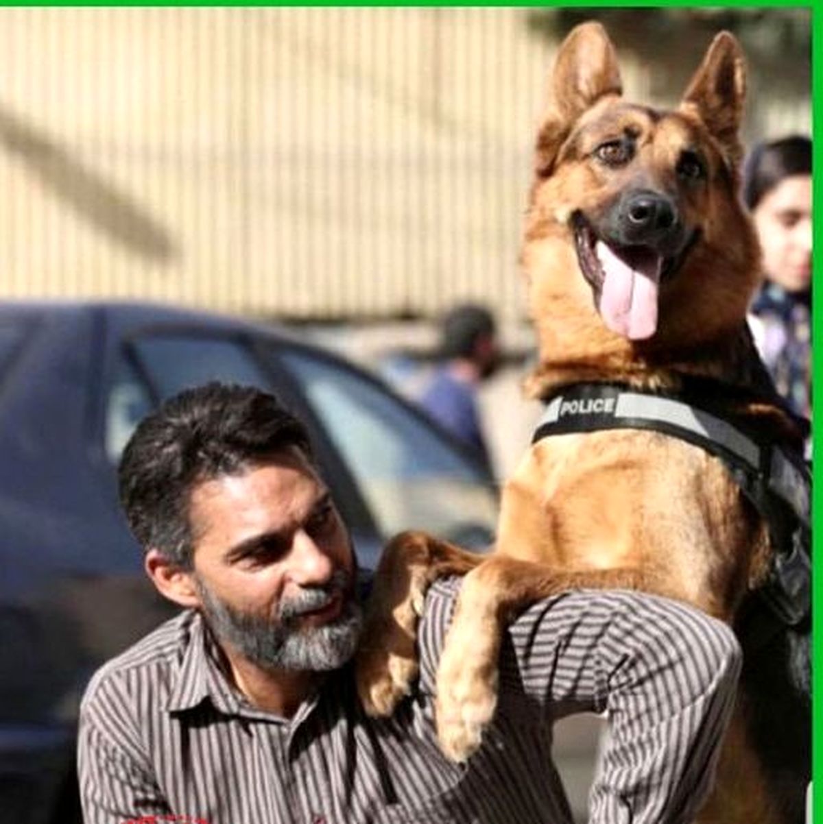 سگ اصیل پیمان معادی + عکس