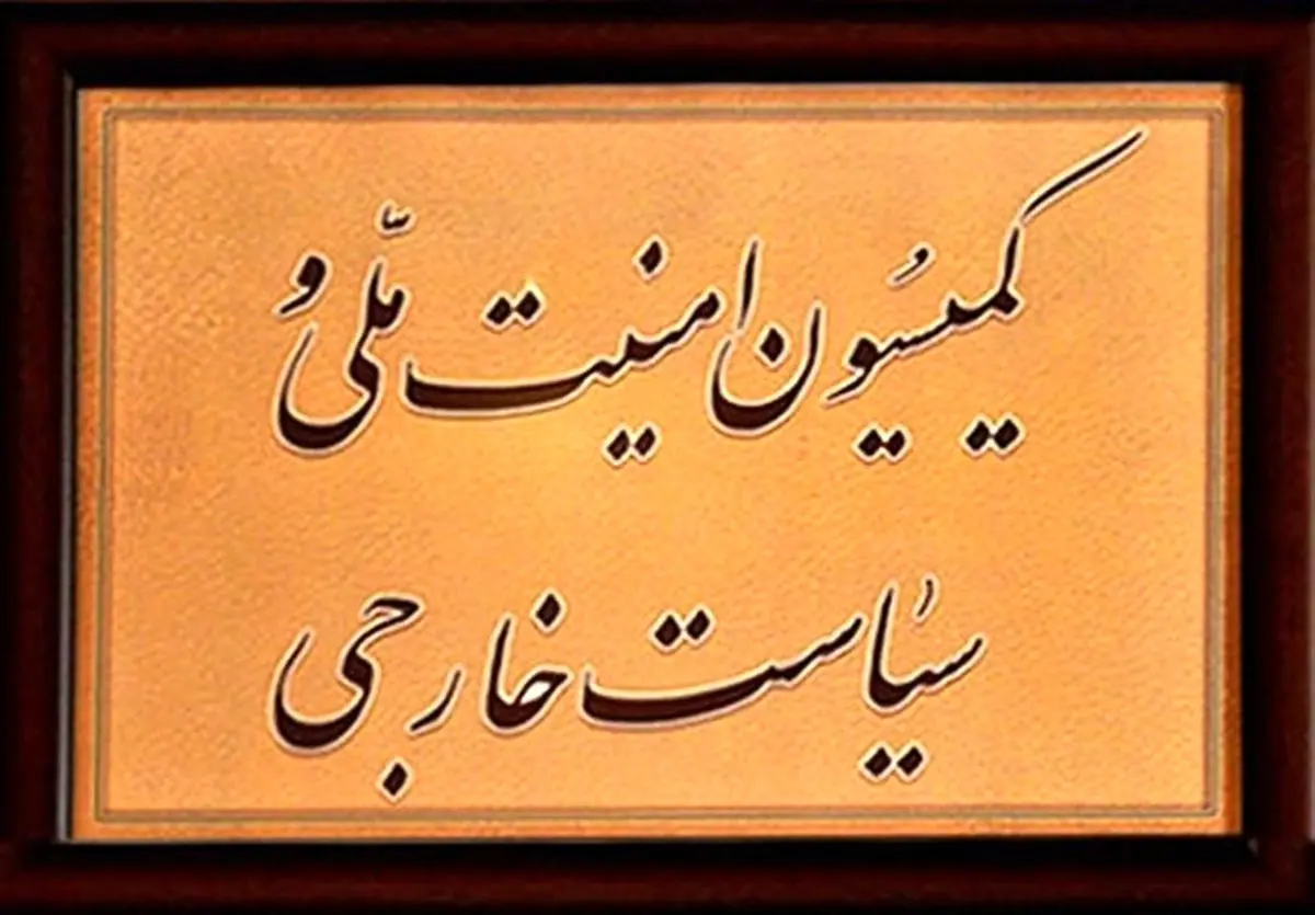 لایحه جنجالی در دستور کار کمیسیون امنیت ملی مجلس
