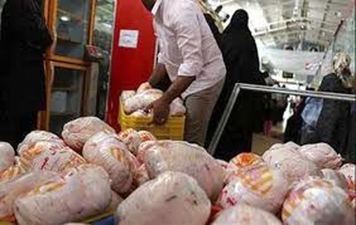 چراغ سبز عراقی ها به خرید مرغ ایرانی 