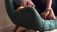 سروش صحت و حیوان خانگی اش