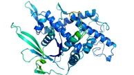 هوش مصنوعی گوگل و پیش بینی DNA