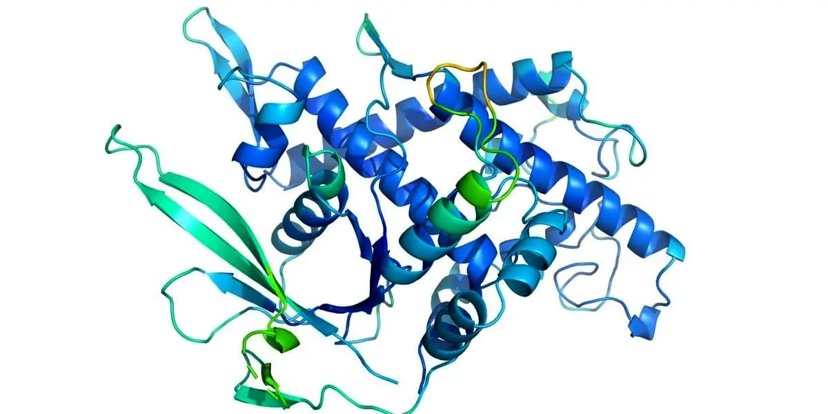 هوش مصنوعی گوگل و پیش بینی DNA