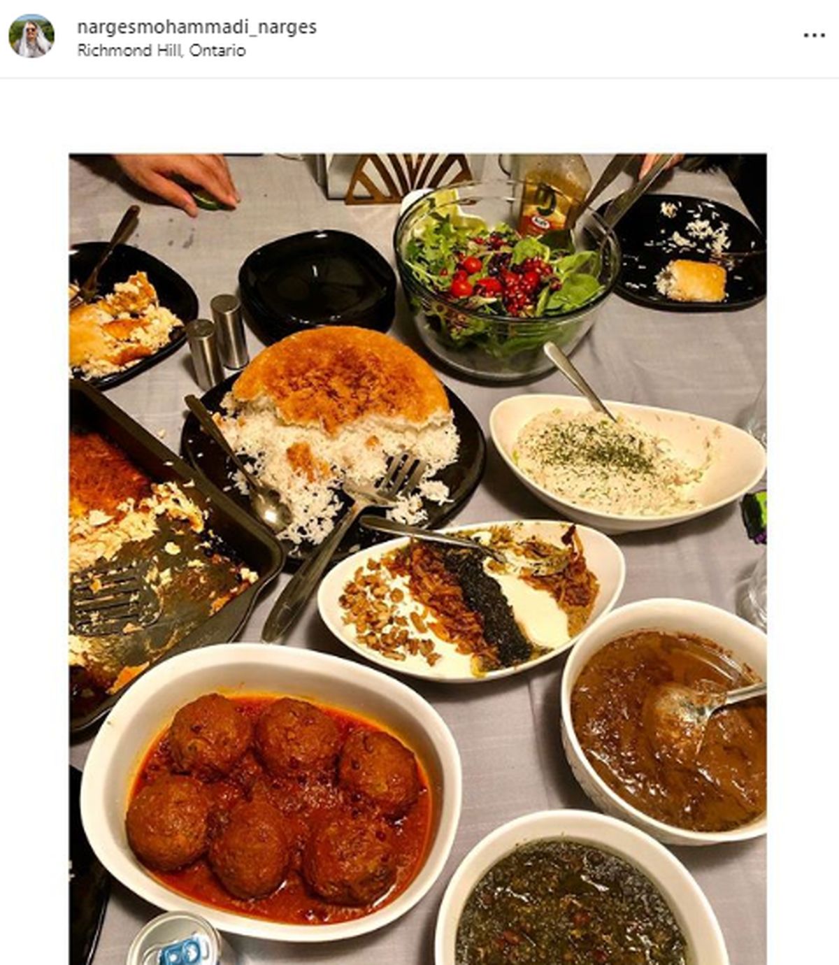 مهمانی مفصل روناک خانم برای نرگس محمدی در کانادا+عکس