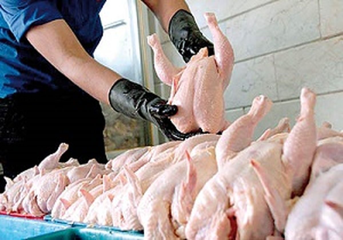 نرخ جدید مرغ و انواع مشتقات/ مرغ ارزان شد