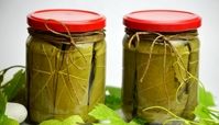 8 روش نگهداری برگ مو با حفظ تازگی و کیفیت تا یکسال