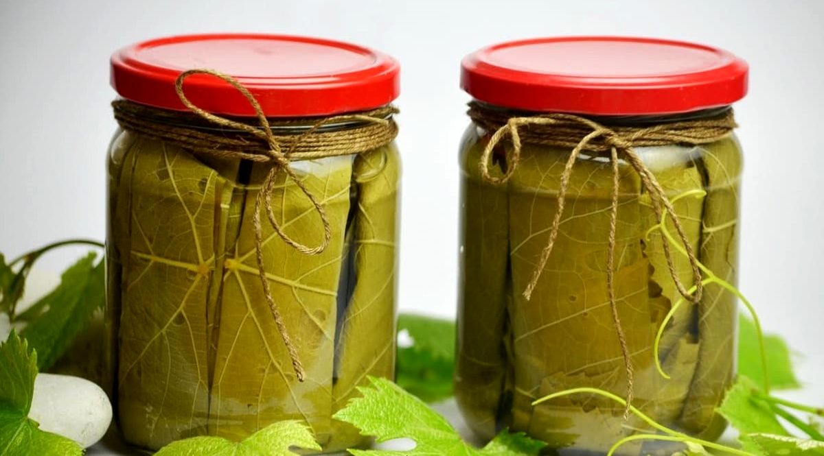 8 روش نگهداری برگ مو با حفظ تازگی و کیفیت تا یکسال