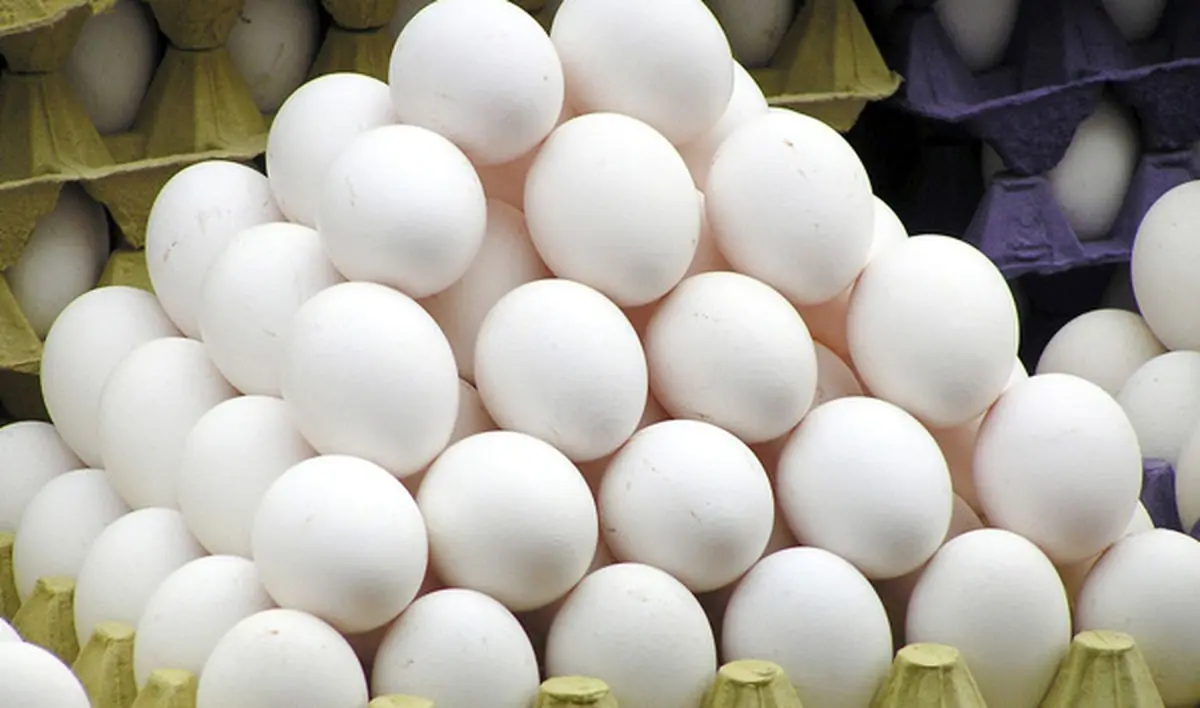 مازاد عرضه تخم مرغ نسبت به تقاضای داخلی