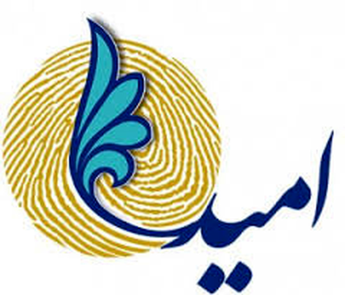 فراکسیون امید از دولت تقدیر کرد