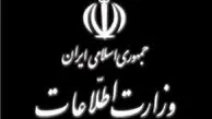 وزارت اطلاعات مانع توزیع ویزاهای جعلی اربعین شده است
