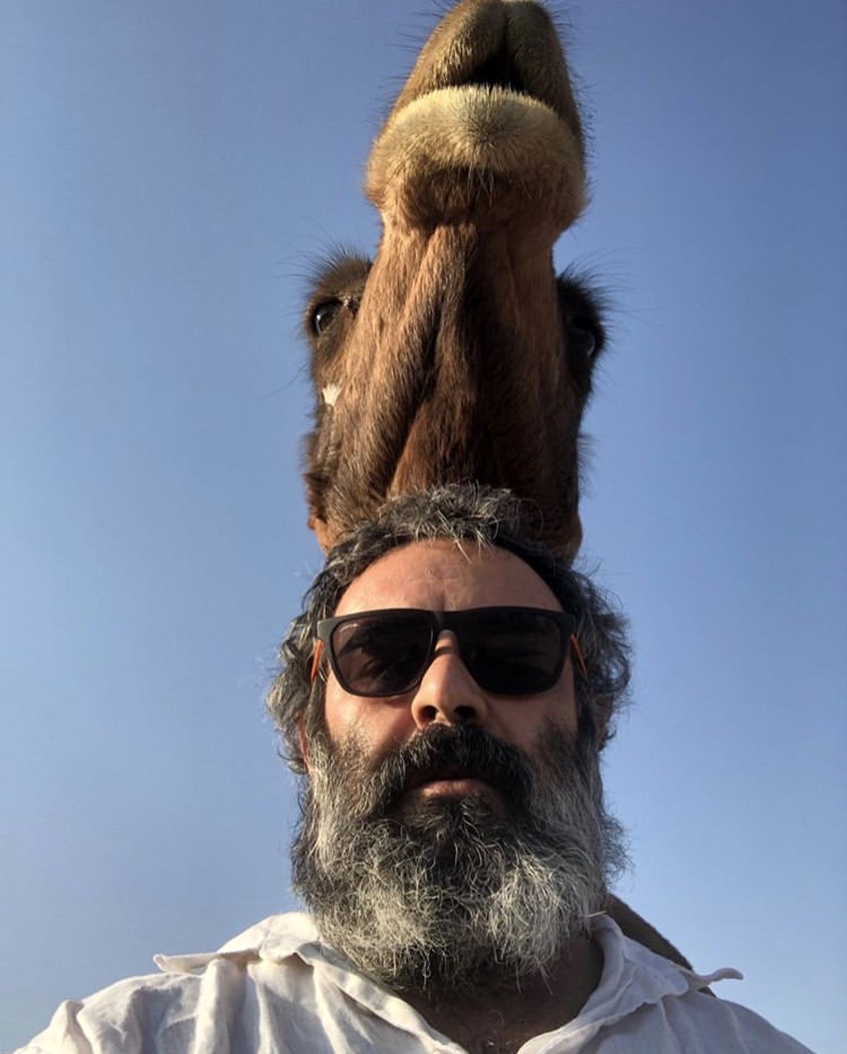 عکس عجیب حسن‌معجونی