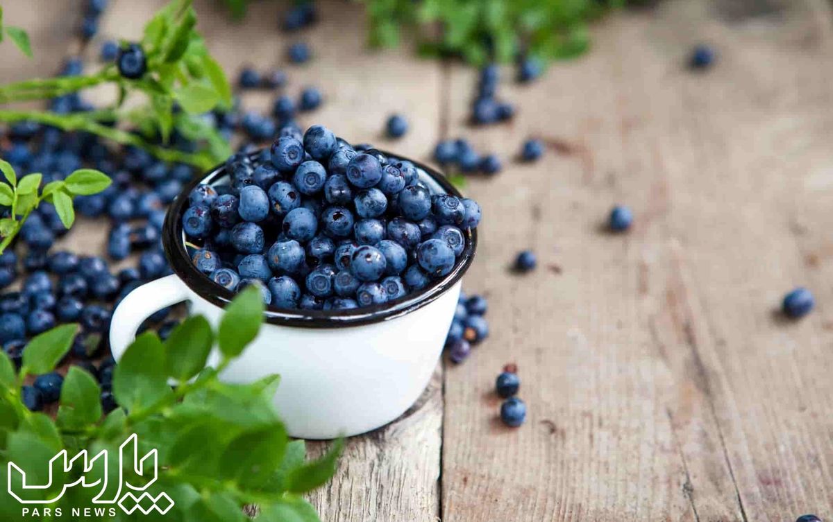 بلوبری چیست و چه خواصی دارد ؟ خواص بلوبری برای زیبایی