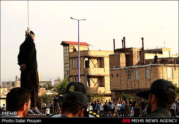 IMG11354559