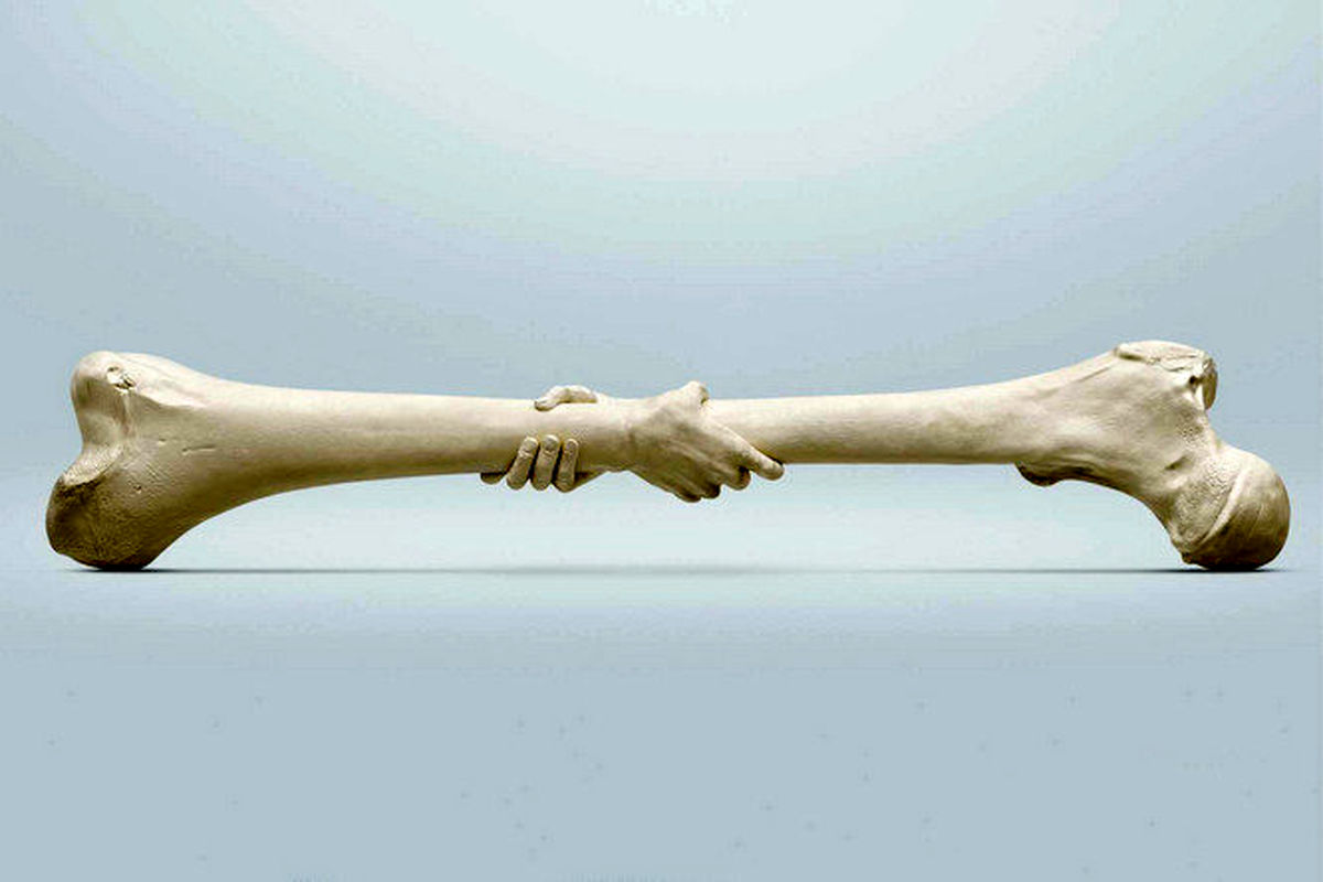 همه آنچه درباره پوکی استخوان باید بدانید 