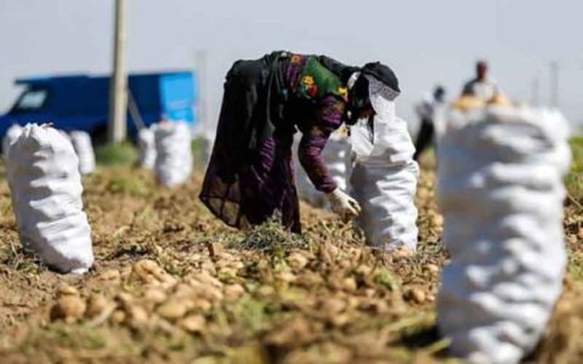 بررسی و ارسال 395 طرح اشتغال روستایی در آذربایجان شرقی