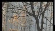 عبادت خالصانه به این میگن+عکس