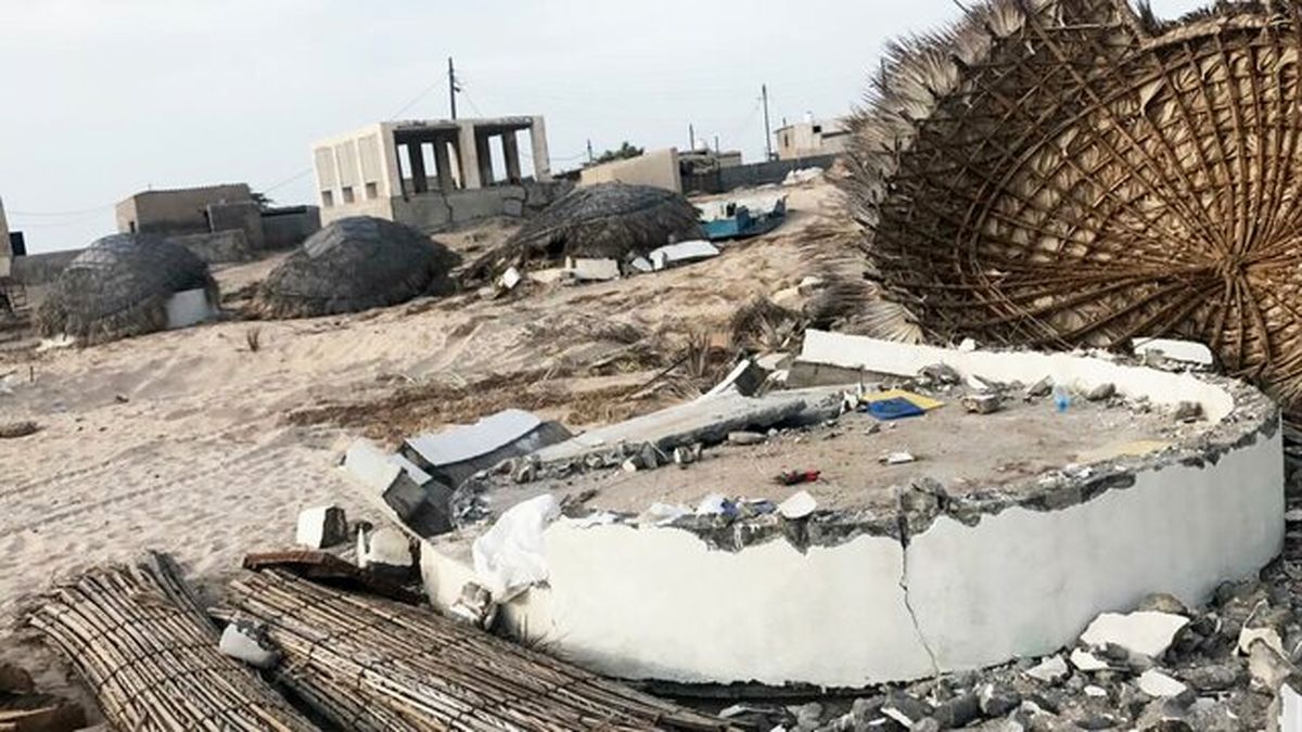 پاکسازی حریم دریای جزیره هنگام از زمین خواران