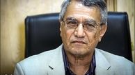 جولان موش‌ها در محله رجایی/قطع ۱۵ اصله درخت قدیمی در منطقه ۱۶